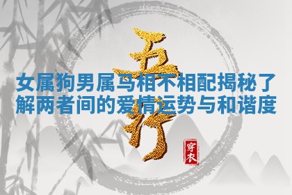 女属狗男属马相不相配揭秘了解两者间的爱情运势与和谐度 女属狗男属马相不相配揭秘了解两者间的爱情运势与和谐度