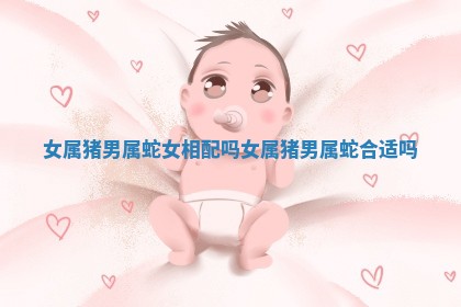 女属猪男属蛇女相配吗 女属猪男属蛇合适吗