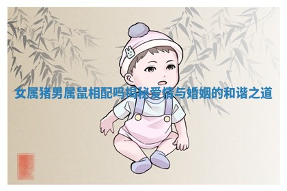 女属猪男属鼠相配吗揭秘爱情与婚姻的和谐之道