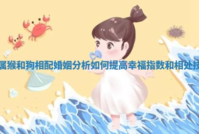 女属猴和狗相配婚姻分析如何提高幸福指数和相处技巧