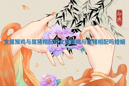 女属猴鸡与属猪相配吗 女属猴鸡与属猪相配吗婚姻