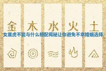 女属虎不能与什么相配揭秘让你避免不幸婚姻选择 女属虎不能与什么相配揭秘让你避免不幸婚姻选择