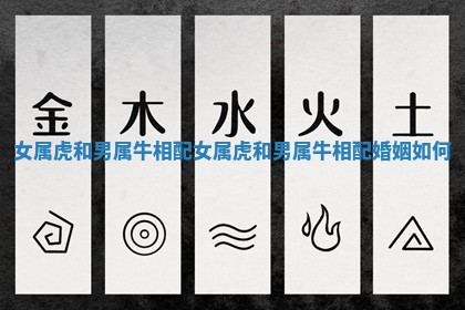 女属虎和男属牛相配_女属虎和男属牛相配婚姻如何
