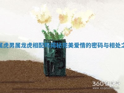 女属虎男属龙虎相配吗揭秘完美爱情的密码与相处之道