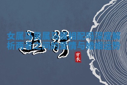 女属马男属马属相配吗深度解析两者之间的爱情与婚姻运势 女属马男属马属相配吗深度解析两者之间的爱情与婚姻运势
