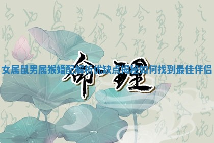 女属鼠男属猴婚配解析优缺点揭秘如何找到最佳伴侣