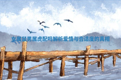 女属鼠男属虎配吗解析爱情与合适度的真相