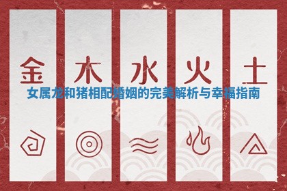 女属龙和猪相配婚姻的完美解析与幸福指南