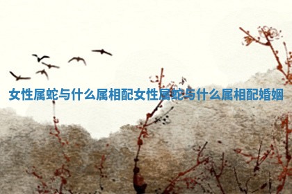 女性属蛇与什么属相配 女性属蛇与什么属相配婚姻 女性属蛇与什么属相配 女性属蛇与什么属相配婚姻