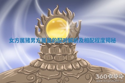 女方属猪男方属鼠的配对解析及相配程度揭秘