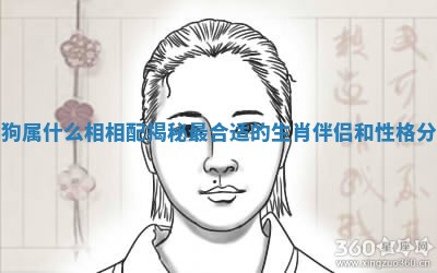 女狗属什么相相配揭秘最合适的生肖伴侣和性格分析