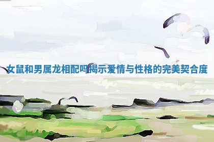 女鼠和男属龙相配吗揭示爱情与性格的完美契合度
