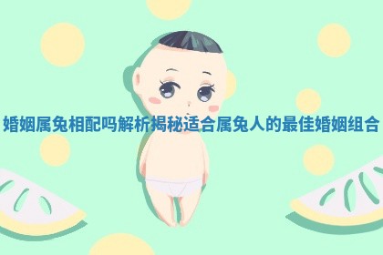 婚姻属兔相配吗解析揭秘适合属兔人的最佳婚姻组合