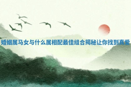 婚姻属马女与什么属相配最佳组合揭秘让你找到真爱