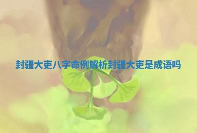 封疆大吏八字命例解析_封疆大吏是成语吗 封疆大吏八字命例解析_封疆大吏是成语吗