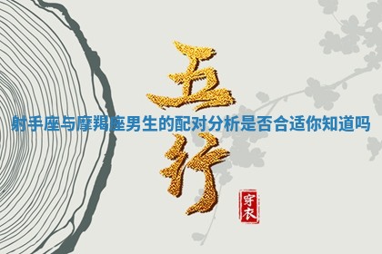 射手座与摩羯座男生的配对分析是否合适你知道吗