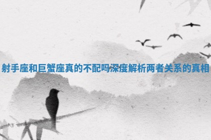 射手座和巨蟹座真的不配吗深度解析两者关系的真相