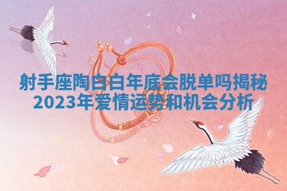 射手座陶白白年底会脱单吗揭秘2023年爱情运势和机会分析