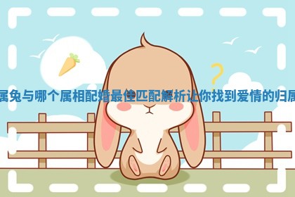 属兔与哪个属相配婚最佳匹配解析让你找到爱情的归属 属兔与哪个属相配婚最佳匹配解析让你找到爱情的归属