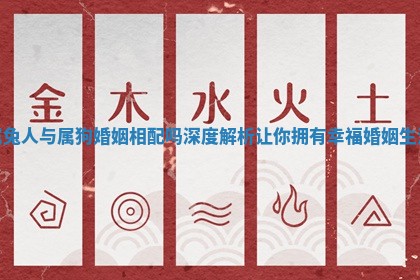 属兔人与属狗婚姻相配吗深度解析让你拥有幸福婚姻生活