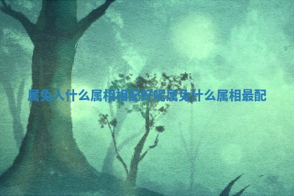 属兔人什么属相相配好呢_属兔什么属相最配