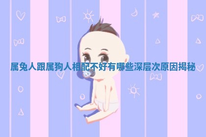 属兔人跟属狗人相配不好有哪些深层次原因揭秘