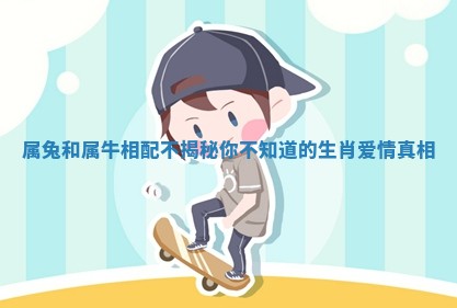 属兔和属牛相配不揭秘你不知道的生肖爱情真相