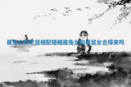 属兔女和老鼠相配婚姻 属兔女和属鼠女合得来吗