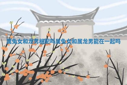 属兔女和龙男相配吗_属兔女和属龙男能在一起吗