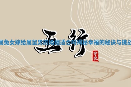 属兔女嫁给属鼠男的婚姻适合吗揭秘幸福的秘诀与挑战