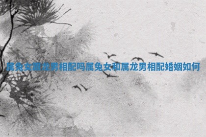 属兔女跟龙男相配吗 属兔女和属龙男相配婚姻如何 属兔女跟龙男相配吗 属兔女和属龙男相配婚姻如何