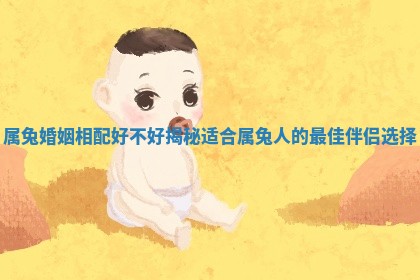 属兔婚姻相配好不好揭秘适合属兔人的最佳伴侣选择