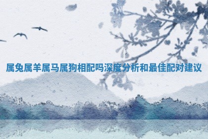 属兔属羊属马属狗相配吗深度分析和最佳配对建议