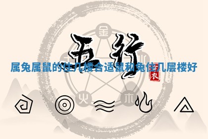 属兔属鼠的住几楼合适_鼠和兔住几层楼好