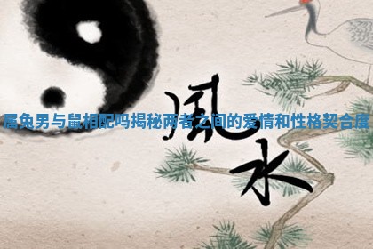 属兔男与鼠相配吗揭秘两者之间的爱情和性格契合度