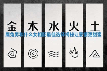属兔男和什么女相配最佳选择揭秘让爱情更甜蜜