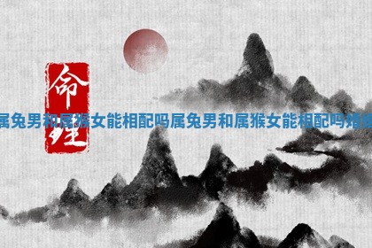 属兔男和属猴女能相配吗_属兔男和属猴女能相配吗婚姻