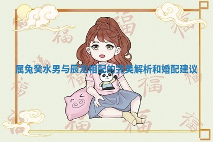 属兔癸水男与辰龙相配的完美解析和婚配建议