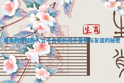 属兔的属鼠的人合不合解析揭示爱情与友谊的秘密 属兔的属鼠的人合不合解析揭示爱情与友谊的秘密