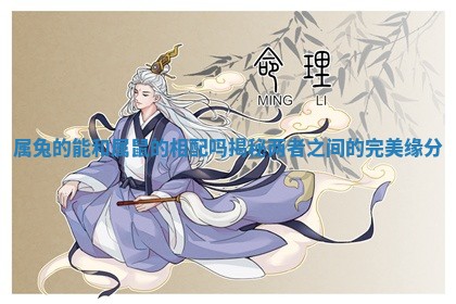 属兔的能和属鼠的相配吗揭秘两者之间的完美缘分