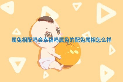 属兔相配吗会幸福吗 属兔的配兔属相怎么样