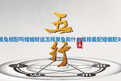 属兔相配吗婚姻财运怎样 属兔和什么属相最配婚姻配对