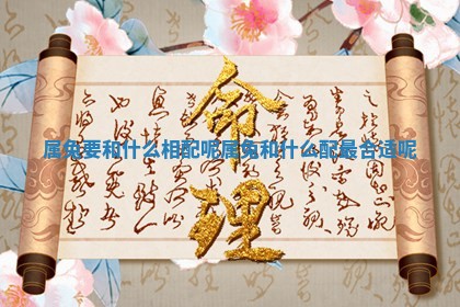 属兔要和什么相配呢 属兔和什么配最合适呢