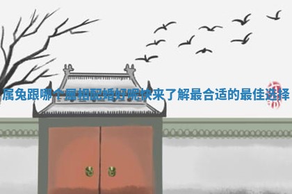 属兔跟哪个属相配婚好呢快来了解最合适的最佳选择