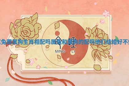 属兔跟属狗生肖相配吗_属兔和属狗的配吗 他们结婚好不好