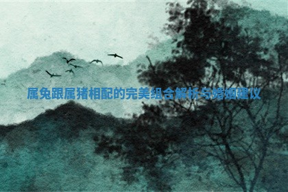 属兔跟属猪相配的完美组合解析与婚姻建议