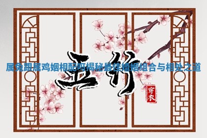 属兔跟属鸡姻相配吗揭秘最佳婚姻组合与相处之道