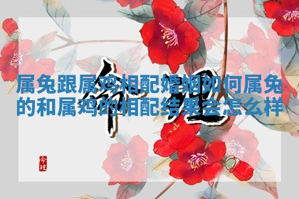 属兔跟属鸡相配婚姻如何_属兔的和属鸡的相配结果会怎么样