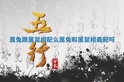 属兔跟属鼠相配么_属兔和属鼠相最配吗