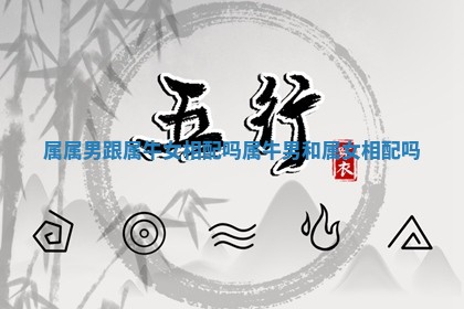 属属男跟属牛女相配吗_属牛男和属女相配吗